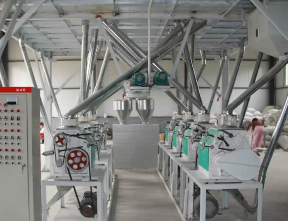 40 tpd wheat roller milling flour machine
